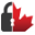 Canadian Security Professionals logo