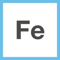 Frobel Education logo