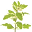 Totally Herby logo