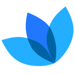 Bodymassageshop logo