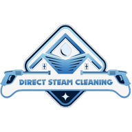 Directsteamcleaning logo