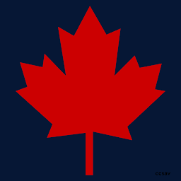 Ccsav logo