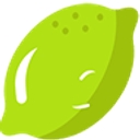 Brightlimes logo