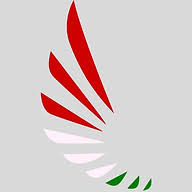 Cogentsteel logo