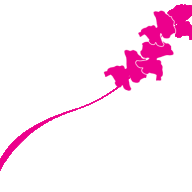Somersetsweetpeas logo
