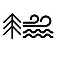 Wooden Waves logo
