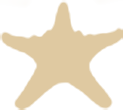 Five Star Properties and Bliss Beach Rentals logo