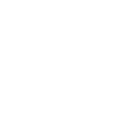 Discontoys logo