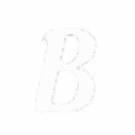 Better Clean Services Boston logo