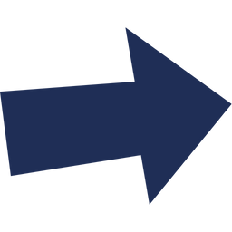 The Van Insurer logo