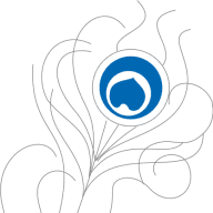 Shri Krishna Education And Immigration Consultants logo