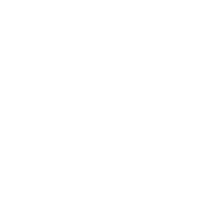 Who's Driving You logo