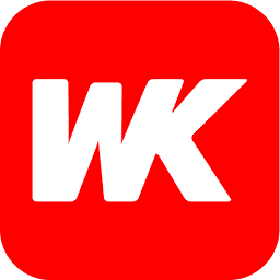 Waste King Skip Hire Limited logo