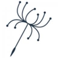 Renude Laser Tattoo Removal Sydney logo