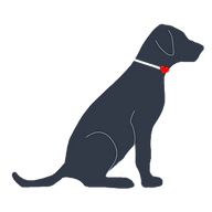 Allwinds Dog First Aid Ltd logo
