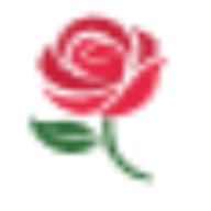 Ask Rose logo
