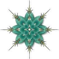 Cactocereus Ltd t/a Trichocereus UK logo