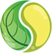 CBD Wellness Centre logo