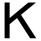 KOSTON logo