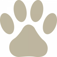 Ladyhaye International Pet Travel Ltd logo