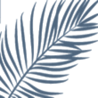 Inn Paradise Management logo