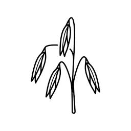 Paragon Mills logo