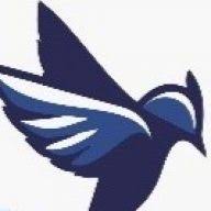 Thisisbluejay logo