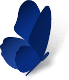 Momenta Finance logo
