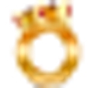 Spiceurbeauty logo