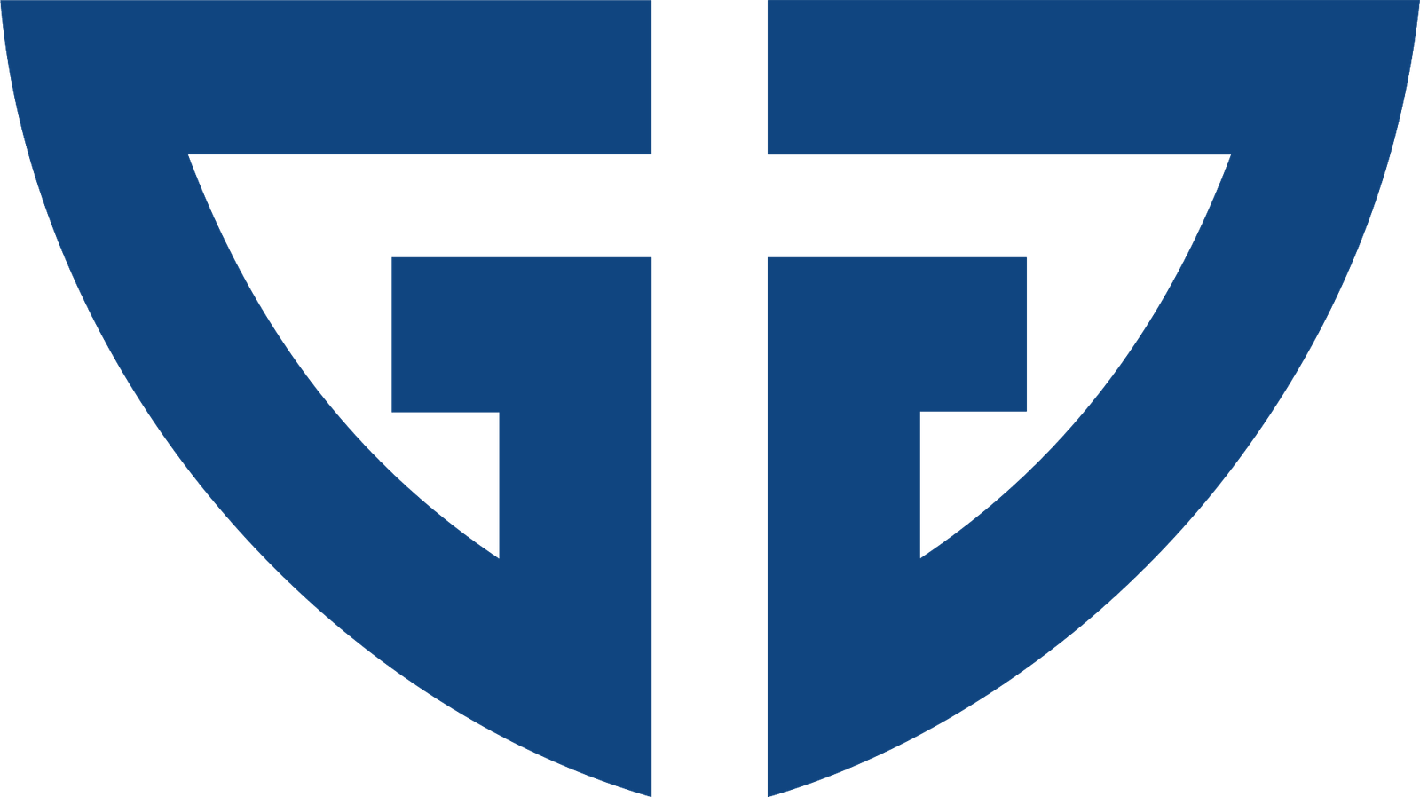 Goods N Go LLC logo