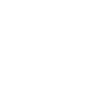 Immediatenextgenau logo