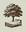 Eden Nest logo