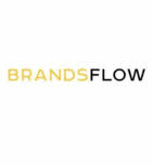 Brandsflow logo