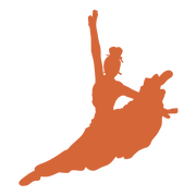 Shenyuncollections logo