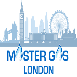 Master Gas logo