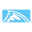 Chasingfin logo