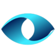 Cyber Sense logo