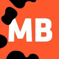 Mold Busters logo