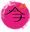 The Snack Organisation logo