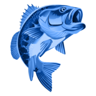 Docklow Pools logo