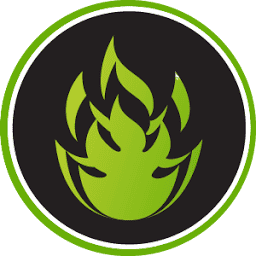 Brplegno logo