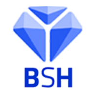 Bluestone Hire logo