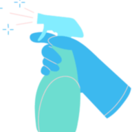 Tidy Spark logo