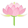 Spiritual Connections logo