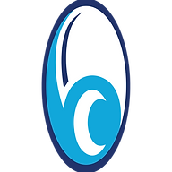 BLACKPOOL LAUNDRY COMPANY LTD logo