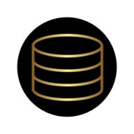 raidertoken.net logo