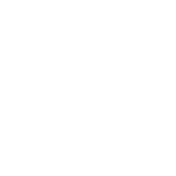 Sylant logo