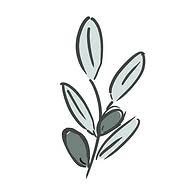 Act Natural Nutrition logo