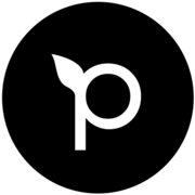 .pepper..field - kampot.co.uk logo