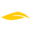Vietnamtrain logo